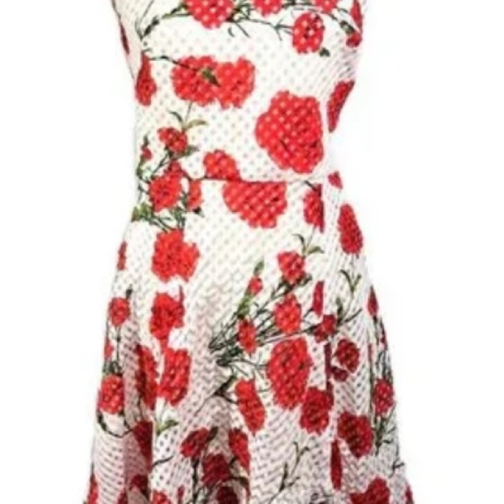 Betsey Johnson Floral Red and White Women's Dress